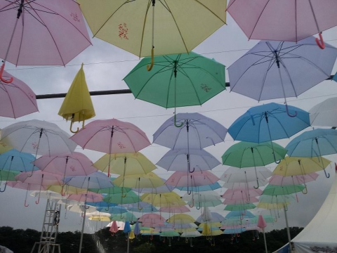 2012 ���� �ѿ��� �ɡ�