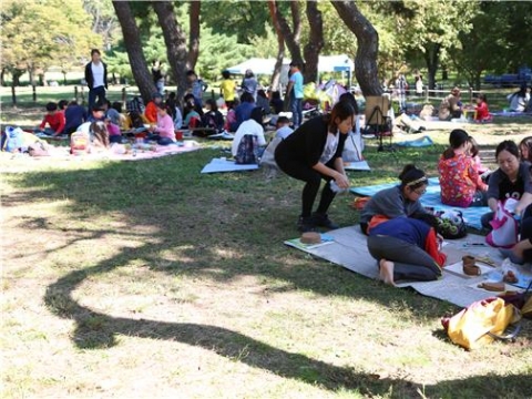 ��43ȸ �Ŷ�ȭ�� ����