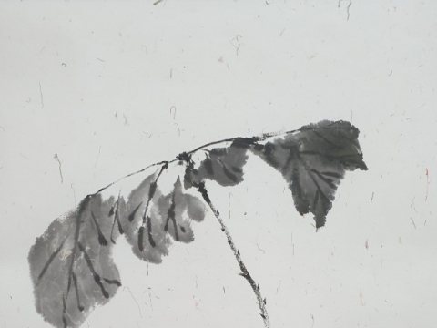 ����ȭ_ �۴� ��������