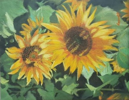 ����_summer_2019����