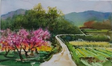 ������_����_2019���ѡ�