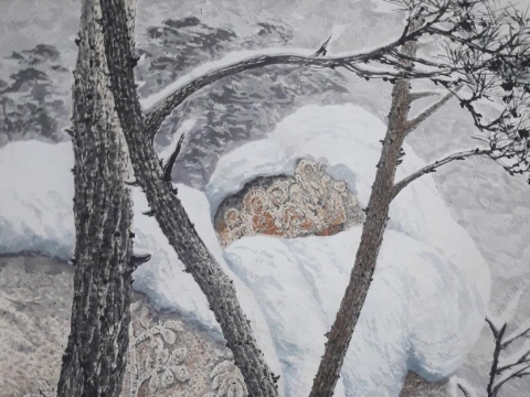 �ֺ���_�ٶ�-�ұ���_2��