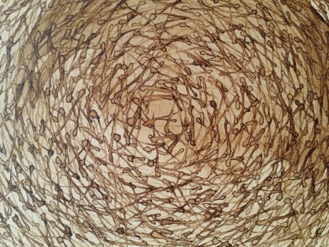 ��ȫ��_naitre_2019����