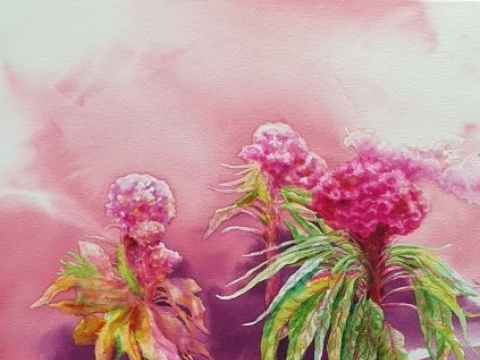 �����_�����̾߱�-�硦