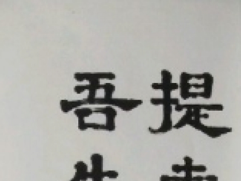 �����_�������� ��