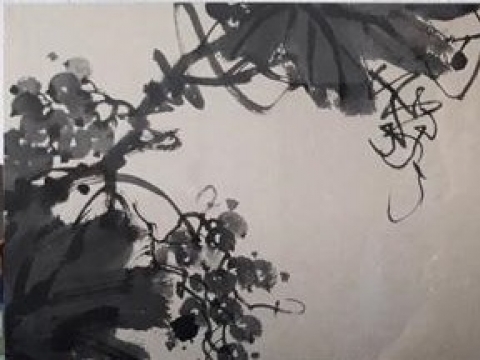 �ָ���_����_2019���ѡ�