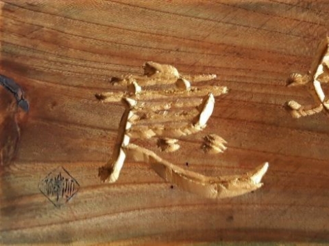 ������_����_2019���ѡ�