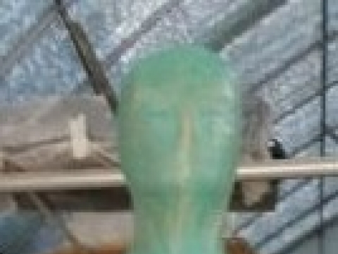 ������_�� �ִ� ���_��