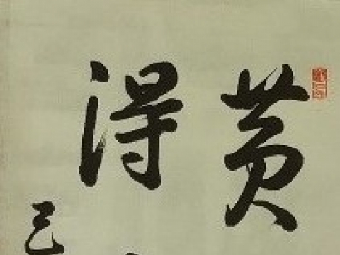 �ڵν�_Ȳ��õ��_2019��