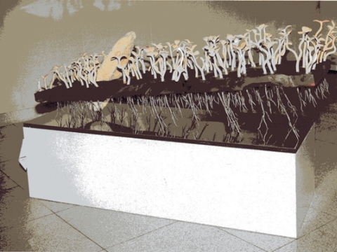 ��28ȸ �Ŷ�̼����� ��