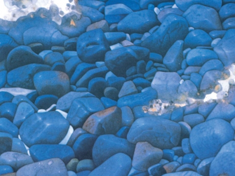 ��14ȸ �Ŷ�̼����� ��