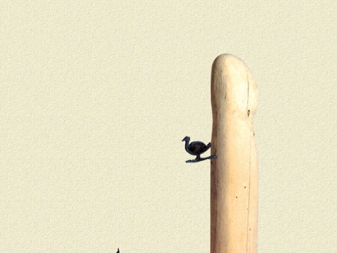 ��16ȸ �Ŷ�̼����� ��