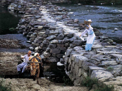 ��16ȸ �Ŷ�̼����� ��