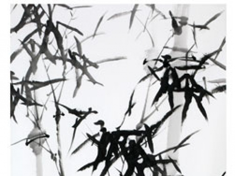 ��33ȸ �Ŷ�̼����� ��