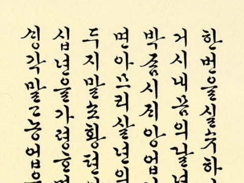 ��14ȸ �Ŷ�̼����� ��