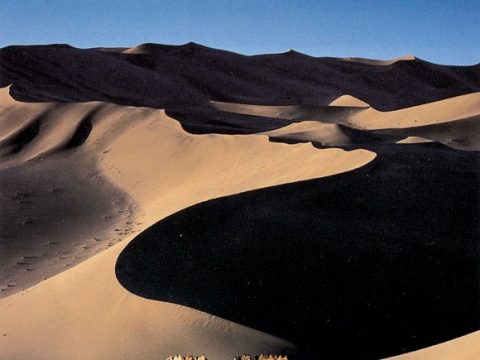 ��15ȸ �Ŷ�̼����� ��