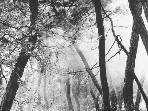 ��14ȸ �Ŷ�̼����� ��