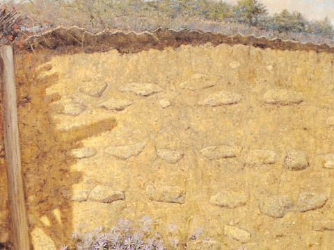 ��16ȸ �Ŷ�̼����� ��